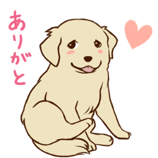 GOLDEN ANDY sticker #11784966