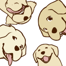 GOLDEN ANDY sticker #11784969