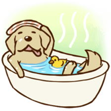 GOLDEN ANDY sticker #11784976