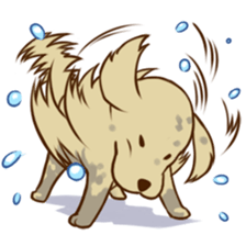 GOLDEN ANDY sticker #11784977