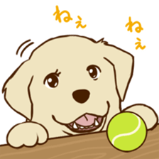 GOLDEN ANDY sticker #11784978