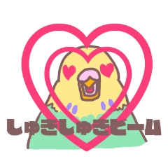 It is easy to employ he Pippi (parakeet)