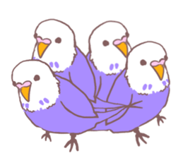 It is easy to employ he Pippi (parakeet) sticker #11786976