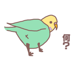 It is easy to employ he Pippi (parakeet) sticker #11786977