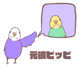 It is easy to employ he Pippi (parakeet) sticker #11786982