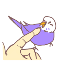 It is easy to employ he Pippi (parakeet) sticker #11786991
