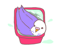 It is easy to employ he Pippi (parakeet) sticker #11786994