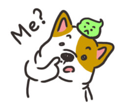 Sushi is my dog (ver.2) sticker #11787759