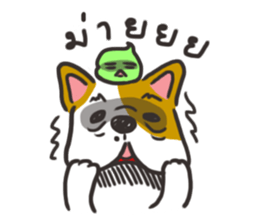 Sushi is my dog (ver.2) sticker #11787766