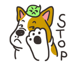 Sushi is my dog (ver.2) sticker #11787783