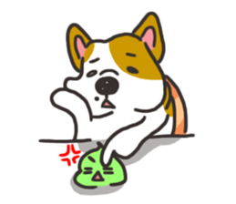 Sushi is my dog (ver.2) sticker #11787797