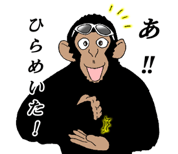 Everyday of chimpandee second day sticker #11793794
