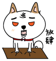 Shiba pi pi with chu chu part3 sticker #11793848