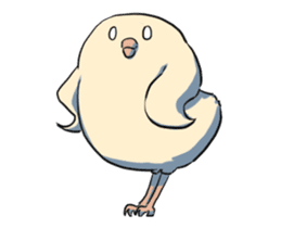 Softening Move Dangerous Bird sticker #11795709