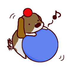 Playful puppy Won!derful