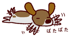 Playful puppy Won!derful sticker #11797576