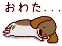 Playful puppy Won!derful sticker #11797578