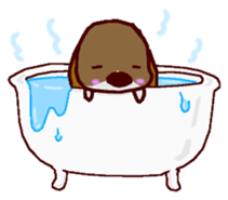 Playful puppy Won!derful sticker #11797580