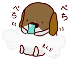 Playful puppy Won!derful sticker #11797582