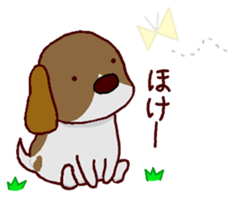 Playful puppy Won!derful sticker #11797589