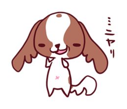 CavalierSticker_2 sticker #11797913