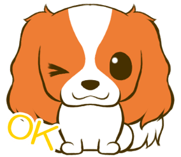 Cavalier King Charles Spaniel tan sticker #11798526