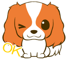 Cavalier King Charles Spaniel tan sticker #11798526