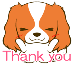 Cavalier King Charles Spaniel tan sticker #11798533