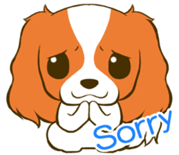 Cavalier King Charles Spaniel tan sticker #11798534