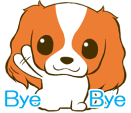 Cavalier King Charles Spaniel tan sticker #11798535