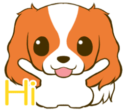 Cavalier King Charles Spaniel tan sticker #11798536