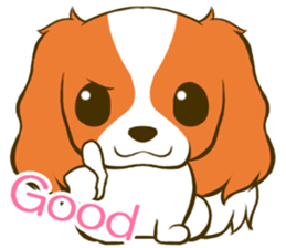 Cavalier King Charles Spaniel tan sticker #11798537