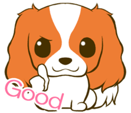 Cavalier King Charles Spaniel tan sticker #11798537