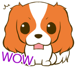 Cavalier King Charles Spaniel tan sticker #11798538