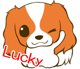 Cavalier King Charles Spaniel tan sticker #11798541