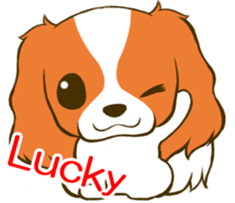 Cavalier King Charles Spaniel tan sticker #11798541