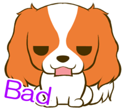 Cavalier King Charles Spaniel tan sticker #11798543