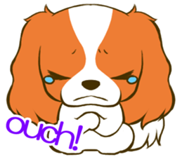 Cavalier King Charles Spaniel tan sticker #11798544