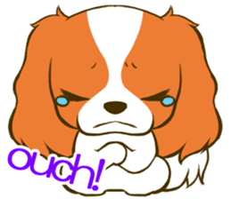 Cavalier King Charles Spaniel tan sticker #11798544