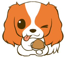 Cavalier King Charles Spaniel tan sticker #11798546