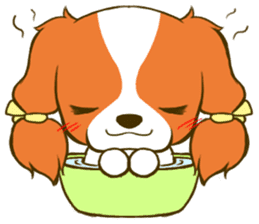 Cavalier King Charles Spaniel tan sticker #11798547