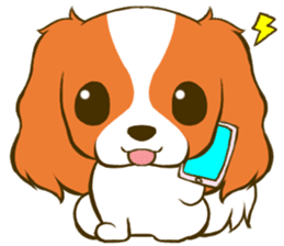 Cavalier King Charles Spaniel tan sticker #11798551
