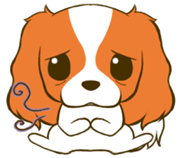 Cavalier King Charles Spaniel tan sticker #11798552