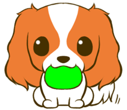 Cavalier King Charles Spaniel tan sticker #11798554