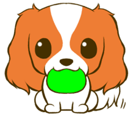 Cavalier King Charles Spaniel tan sticker #11798554
