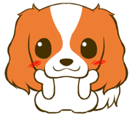 Cavalier King Charles Spaniel tan sticker #11798557