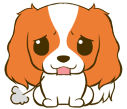 Cavalier King Charles Spaniel tan sticker #11798562