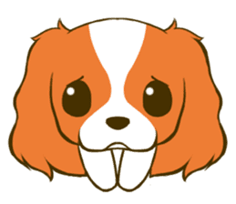 Cavalier King Charles Spaniel tan sticker #11798563