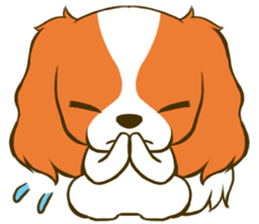 Cavalier King Charles Spaniel tan sticker #11798565