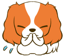 Cavalier King Charles Spaniel tan sticker #11798565